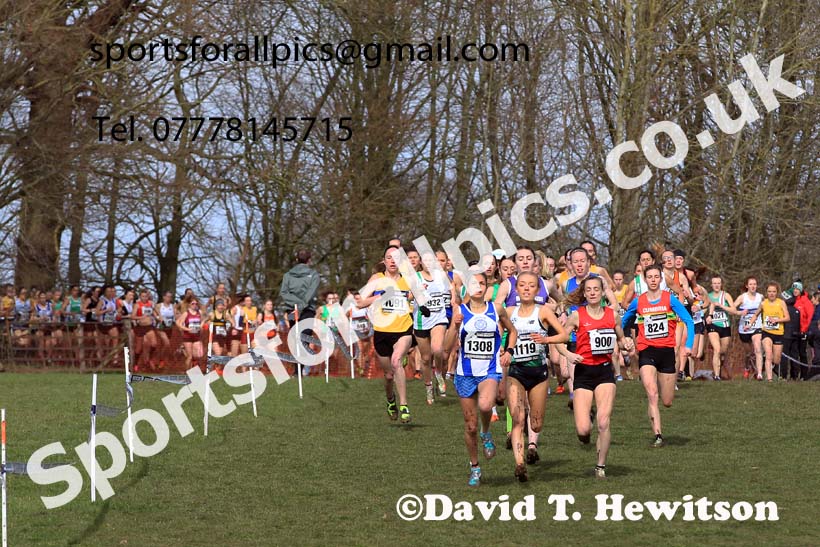 Senior Womens 2023 UK CAU Inter Counties Cross Country Champs, Prestwold Hall, Loughborough. Photo: David T. Hewitson/Sports for All Pics
